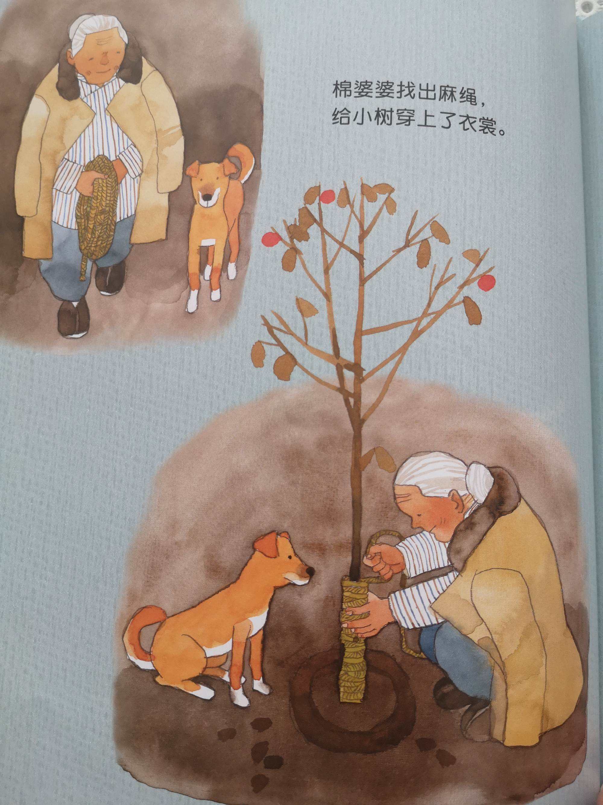 {籃球NBA投注}(大树和小树的故事)